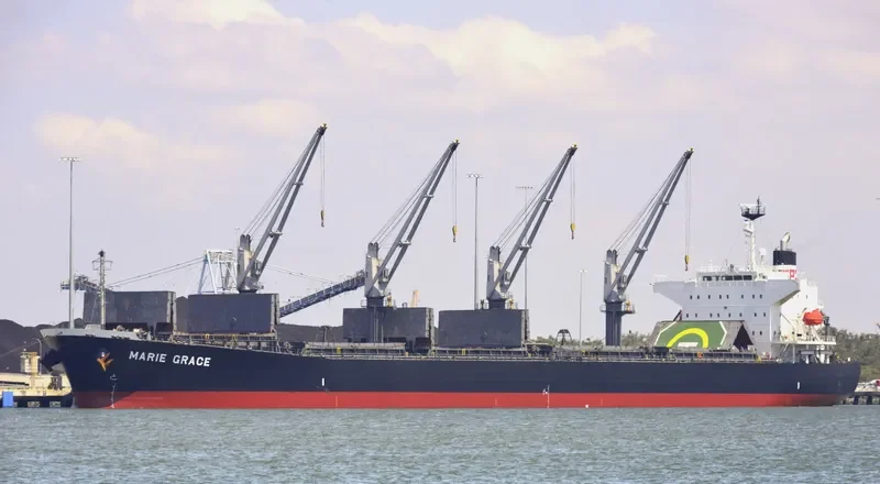 HINOKI Bulk Carrier IMO 9460332 photo 3
