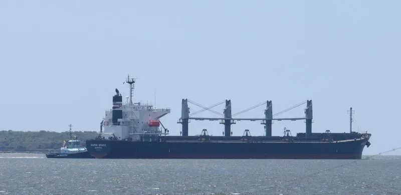 HINOKI Bulk Carrier IMO 9460332 photo 4