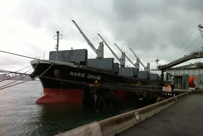 HINOKI Bulk Carrier IMO 9460332 photo 6