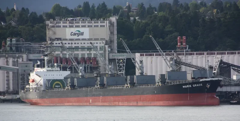 HINOKI Bulk Carrier IMO 9460332 photo 7