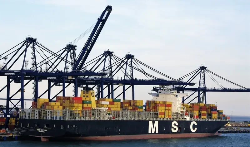 MSC SAVONA Container Ship IMO 9460356