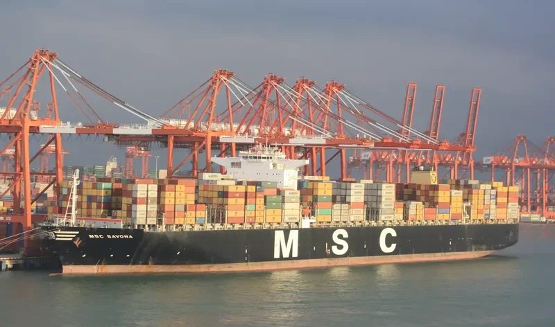 MSC SAVONA Container Ship IMO 9460356 photo 7