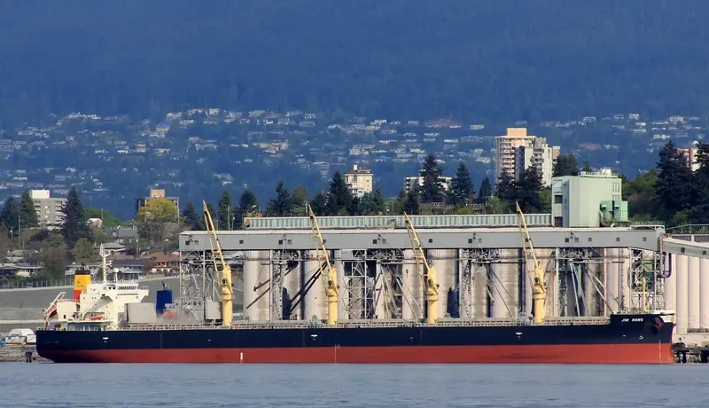 JIN HONG Bulk Carrier IMO 9460382