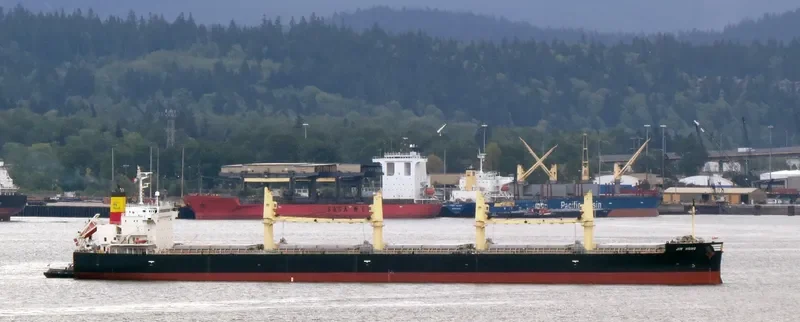 JIN HONG Bulk Carrier IMO 9460382 photo 3