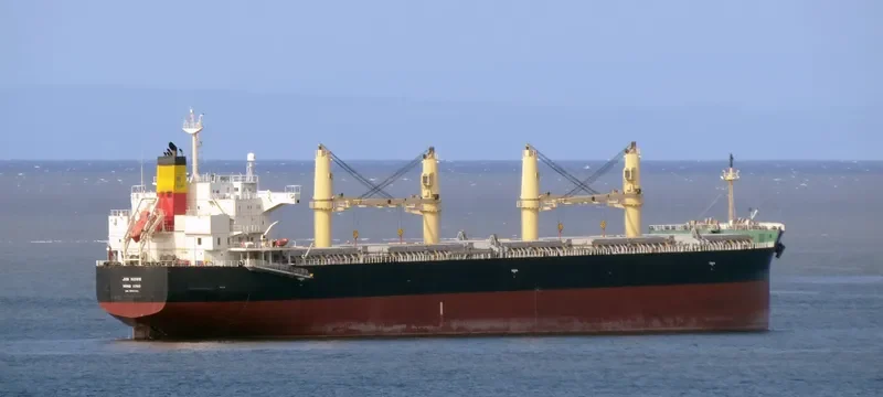 JIN HONG Bulk Carrier IMO 9460382 photo 6