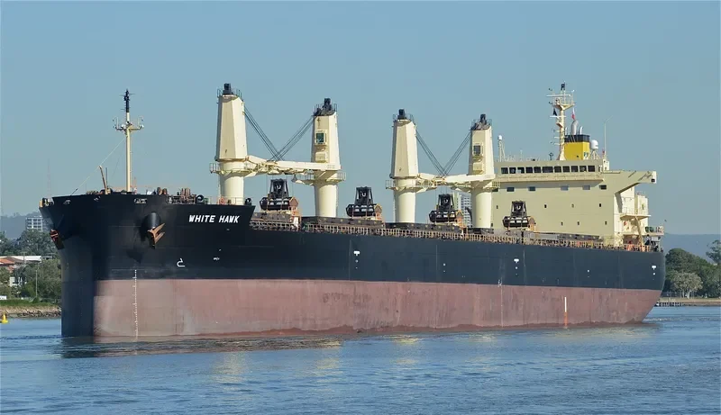 WHITE HAWK Bulk Carrier IMO 9460394