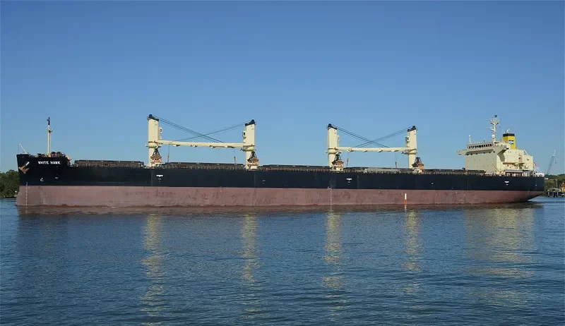 WHITE HAWK Bulk Carrier IMO 9460394 photo 2