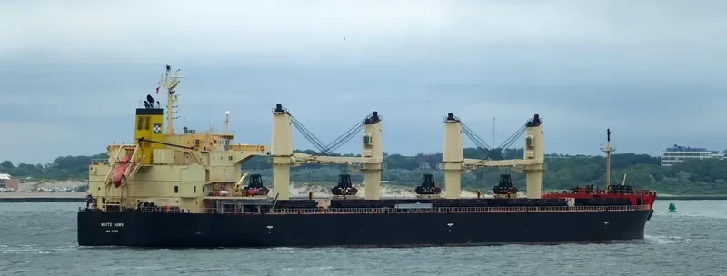 WHITE HAWK Bulk Carrier IMO 9460394 photo 3