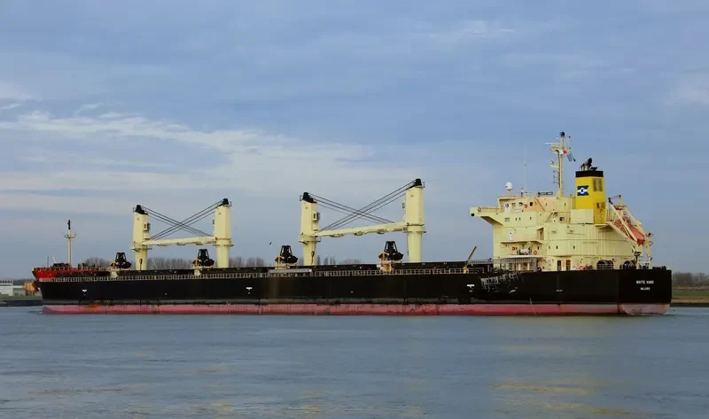 WHITE HAWK Bulk Carrier IMO 9460394 photo 4
