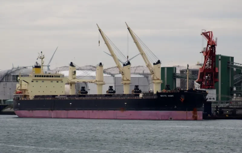 WHITE HAWK Bulk Carrier IMO 9460394 photo 6