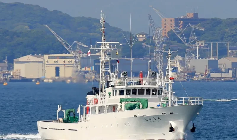 SHIBAURA General Cargo IMO 9460497 photo 3