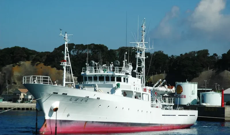 SHIBAURA General Cargo IMO 9460497 photo 5
