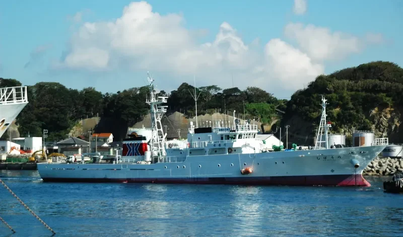 SHIBAURA General Cargo IMO 9460497 photo 6