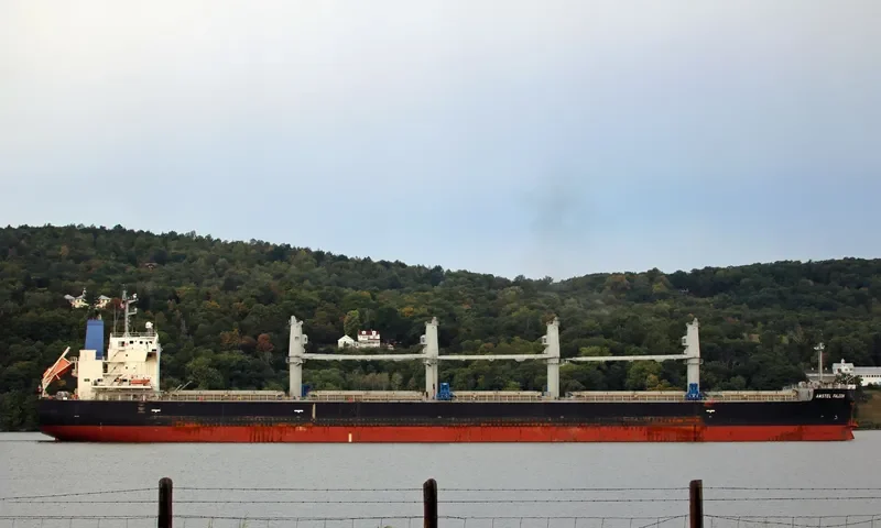 APHROS Bulk Carrier IMO 9460514