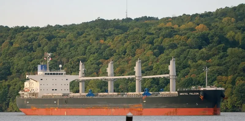 APHROS Bulk Carrier IMO 9460514 photo 2