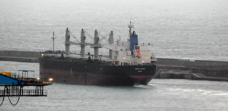 APHROS Bulk Carrier IMO 9460514 photo 3