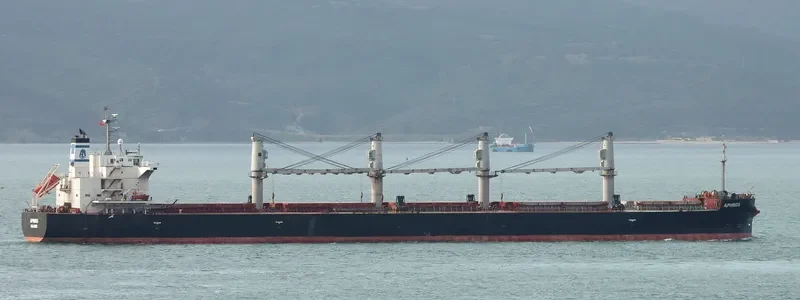 APHROS Bulk Carrier IMO 9460514 photo 10
