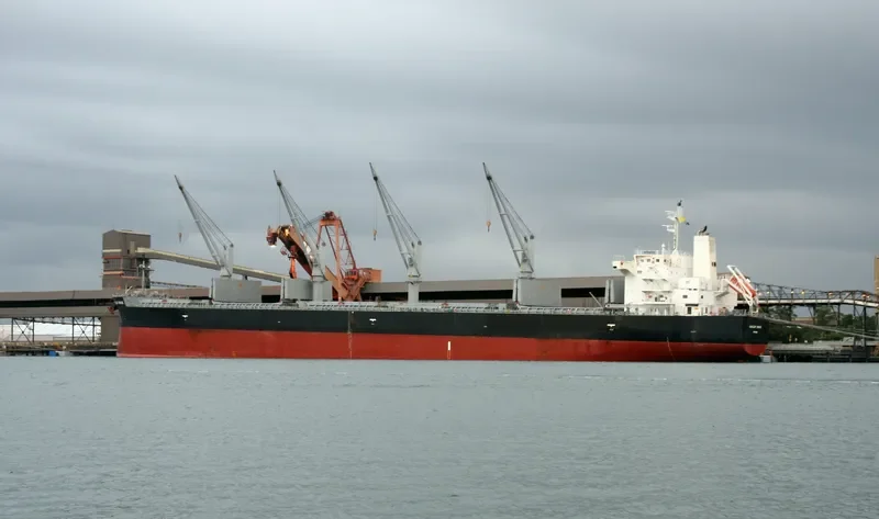 SUNLEAF GRACE Bulk Carrier IMO 9460526 photo 3