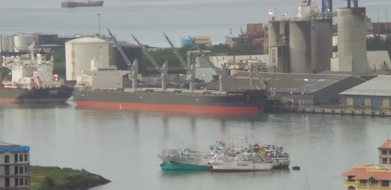 SUNLEAF GRACE Bulk Carrier IMO 9460526 photo 4