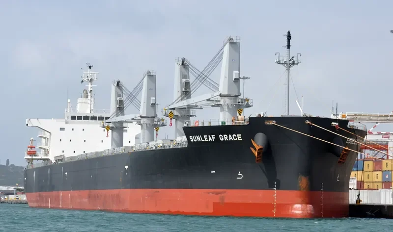 SUNLEAF GRACE Bulk Carrier IMO 9460526 photo 5