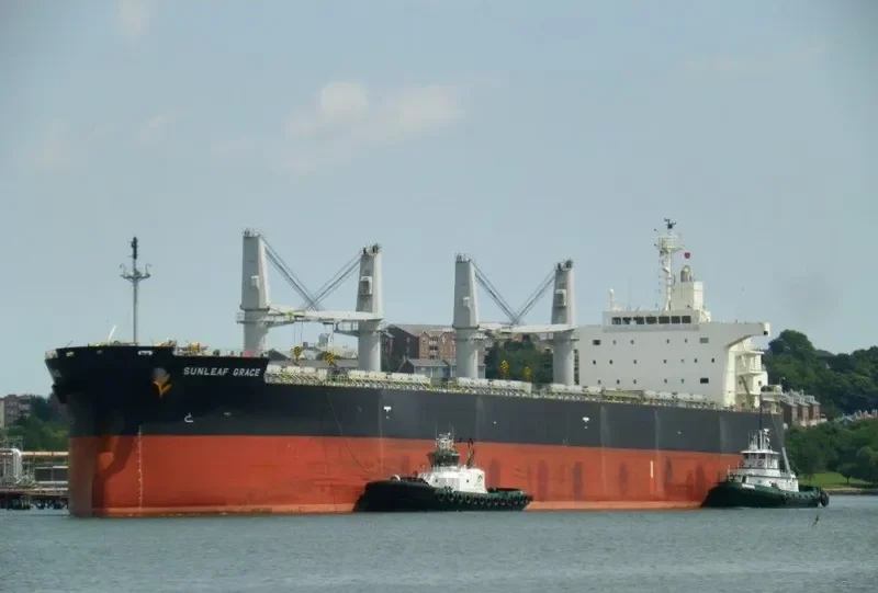 SUNLEAF GRACE Bulk Carrier IMO 9460526 photo 6