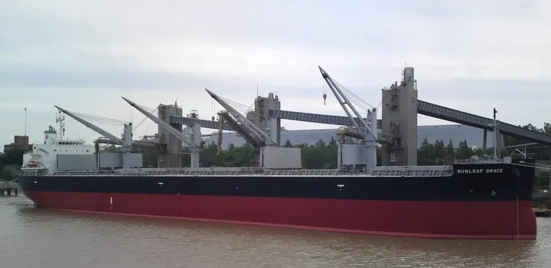 SUNLEAF GRACE Bulk Carrier IMO 9460526 photo 7