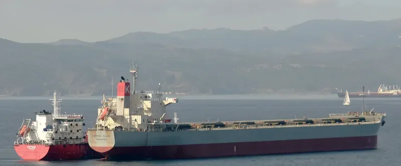 TASIK SAKURA Bulk Carrier IMO 9460538