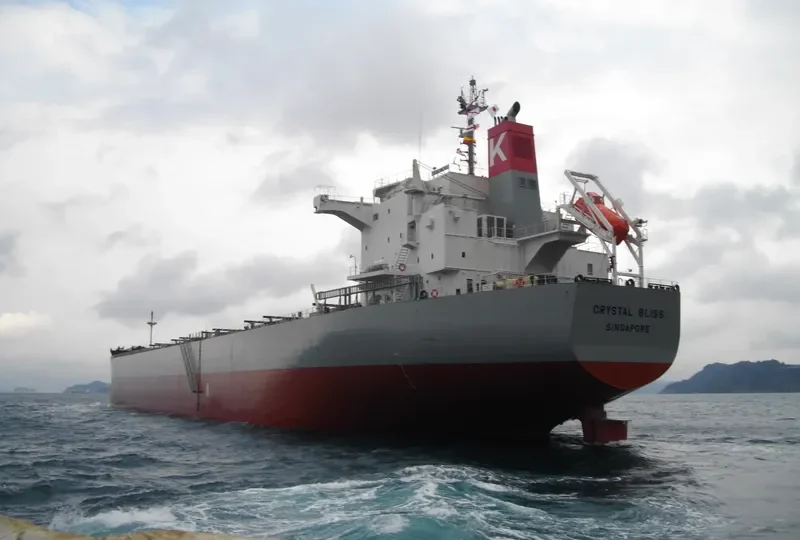 TASIK SAKURA Bulk Carrier IMO 9460538 photo 2