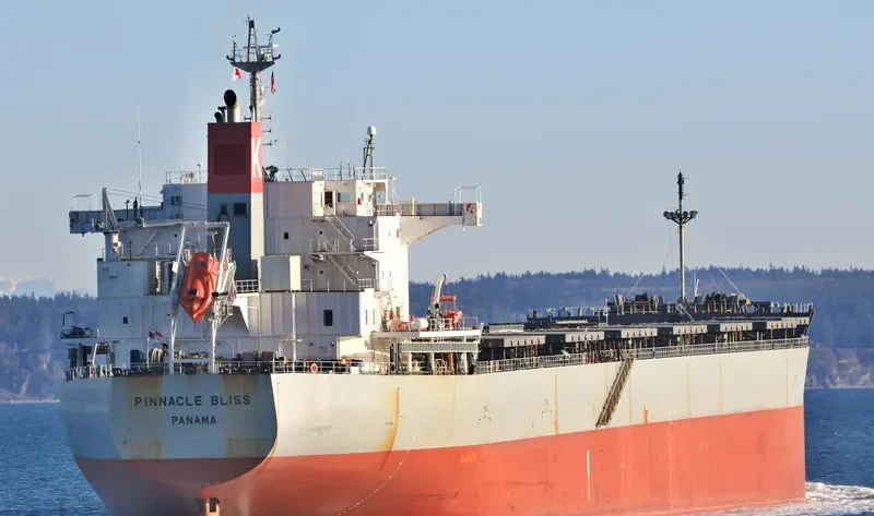SEA JUNO Bulk Carrier IMO 9460588