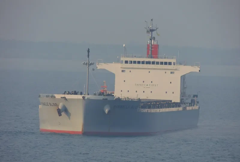 SEA JUNO Bulk Carrier IMO 9460588 photo 3