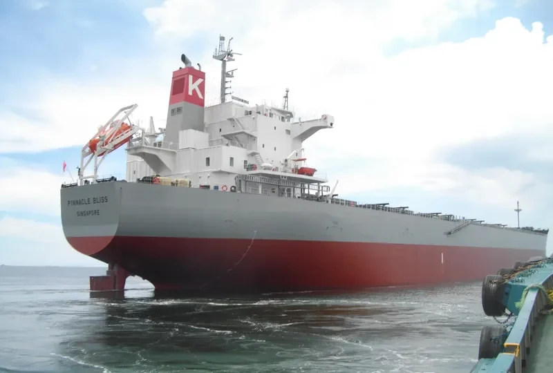 SEA JUNO Bulk Carrier IMO 9460588 photo 7