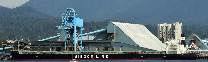 SAKIZAYA WISDOM Bulk Carrier IMO 9460590 photo 3