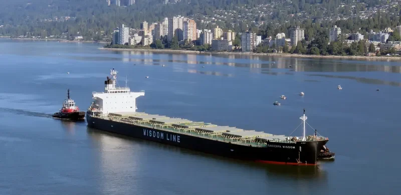 SAKIZAYA WISDOM Bulk Carrier IMO 9460590 photo 6