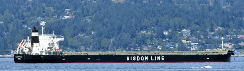 SAKIZAYA WISDOM Bulk Carrier IMO 9460590 photo 7