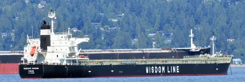 SAKIZAYA WISDOM Bulk Carrier IMO 9460590 photo 8