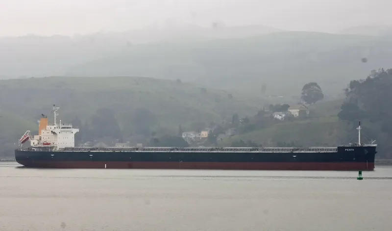 PENTA Bulk Carrier IMO 9460605 photo 3