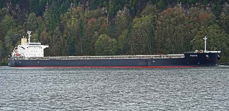 PENTA Bulk Carrier IMO 9460605 photo 10