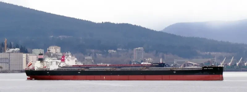 SUOH PACIFIC Bulk Carrier IMO 9460631