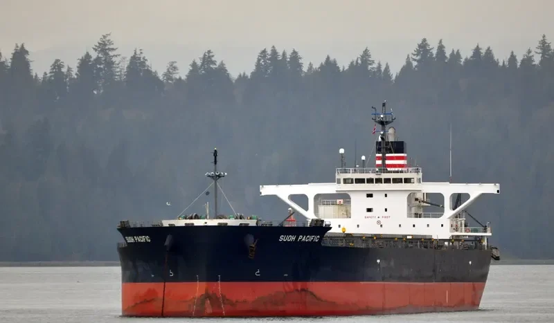 SUOH PACIFIC Bulk Carrier IMO 9460631 photo 7