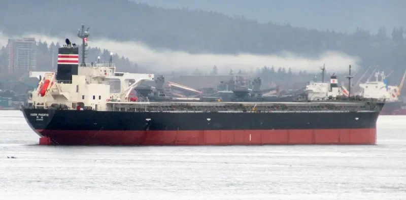 SUOH PACIFIC Bulk Carrier IMO 9460631 photo 8