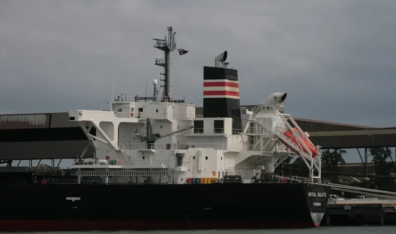 SUOH PACIFIC Bulk Carrier IMO 9460631 photo 9