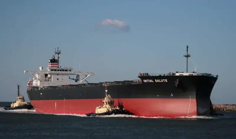 SUOH PACIFIC Bulk Carrier IMO 9460631 photo 10