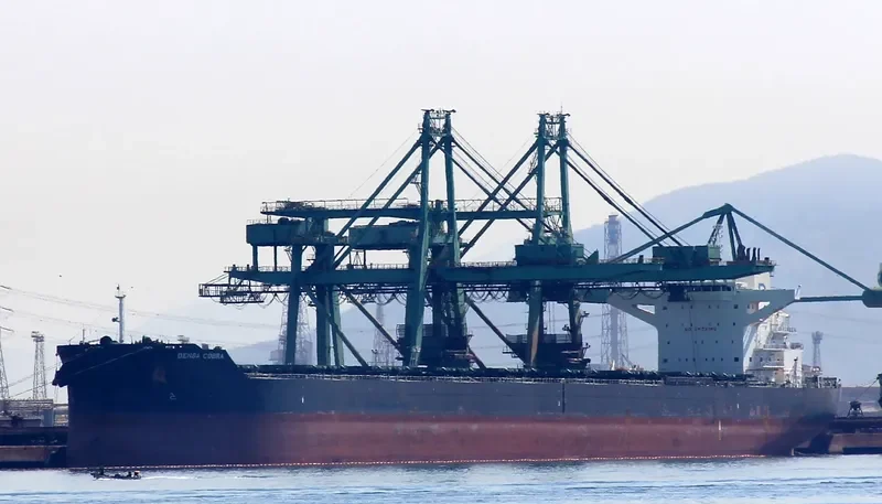 DENSA COBRA Bulk Carrier IMO 9460643 photo 3