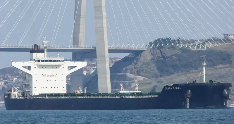 DENSA COBRA Bulk Carrier IMO 9460643 photo 7