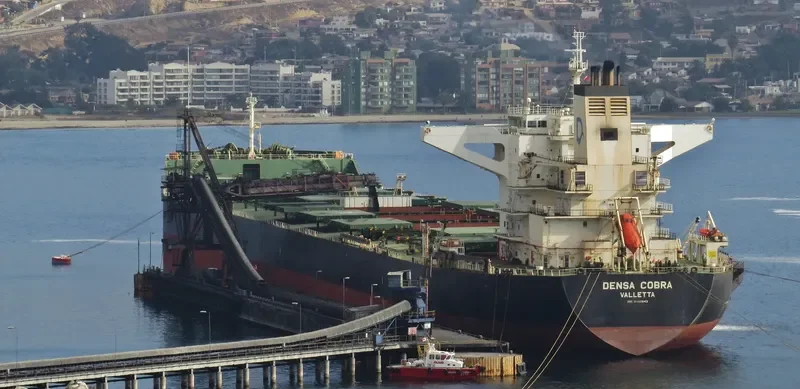 DENSA COBRA Bulk Carrier IMO 9460643 photo 10