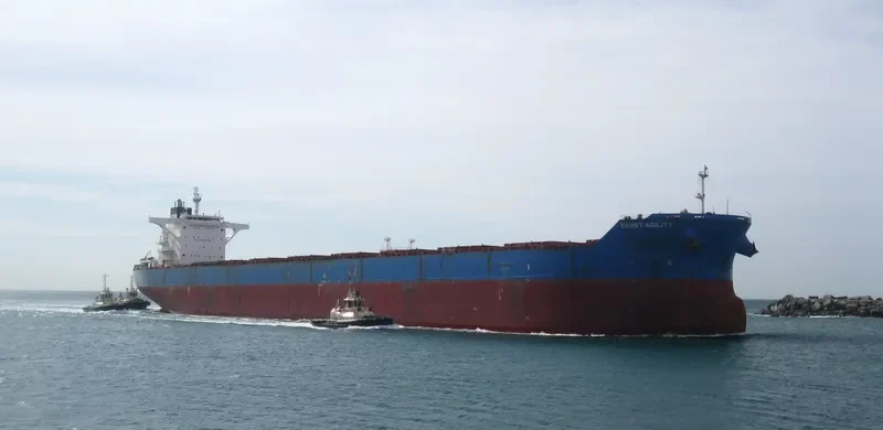 TRUST AGILITY Bulk Carrier IMO 9460655 photo 2