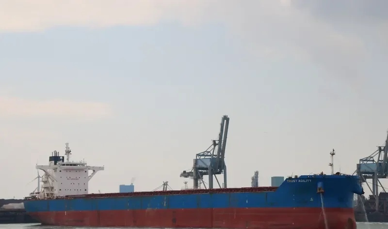 TRUST AGILITY Bulk Carrier IMO 9460655 photo 4