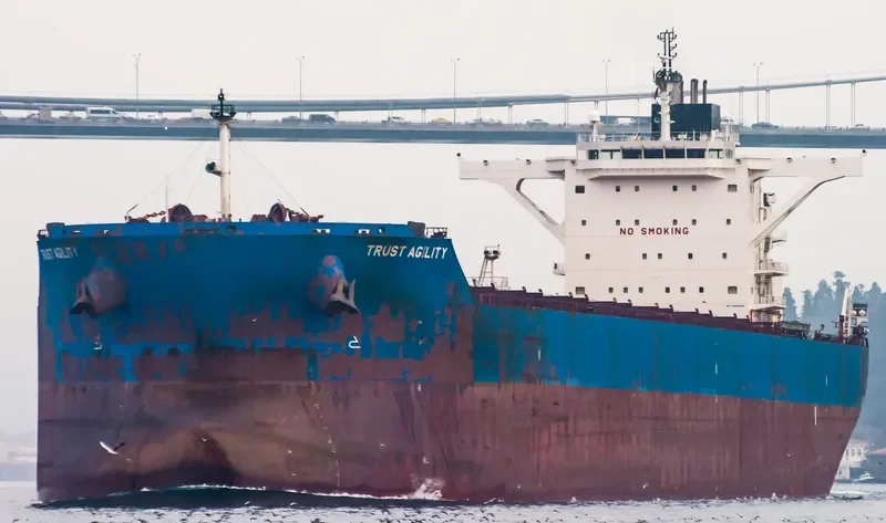 TRUST AGILITY Bulk Carrier IMO 9460655 photo 5