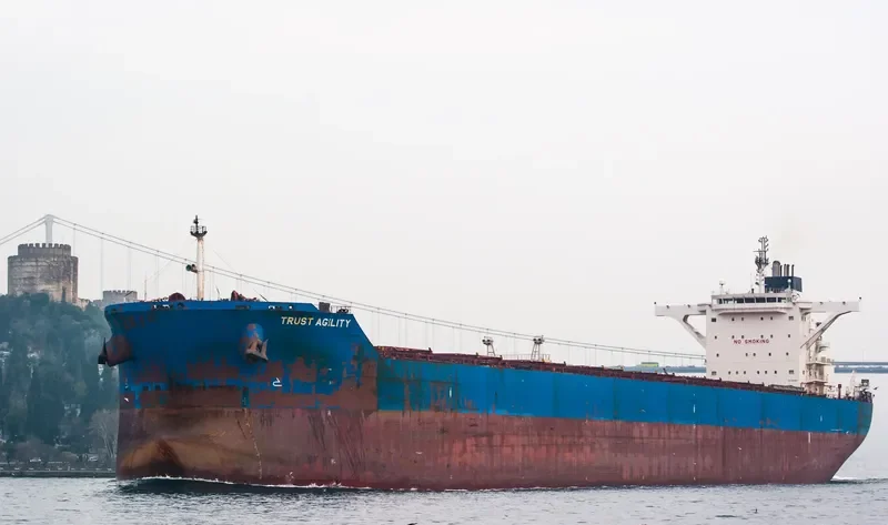 TRUST AGILITY Bulk Carrier IMO 9460655 photo 6