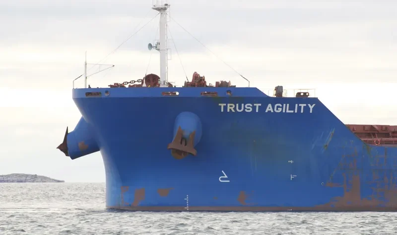 TRUST AGILITY Bulk Carrier IMO 9460655 photo 9